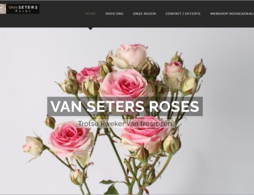 van Seters Roses