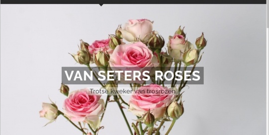 Setersroses.nl